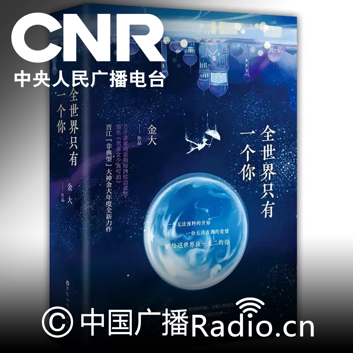 全世界只有一个你