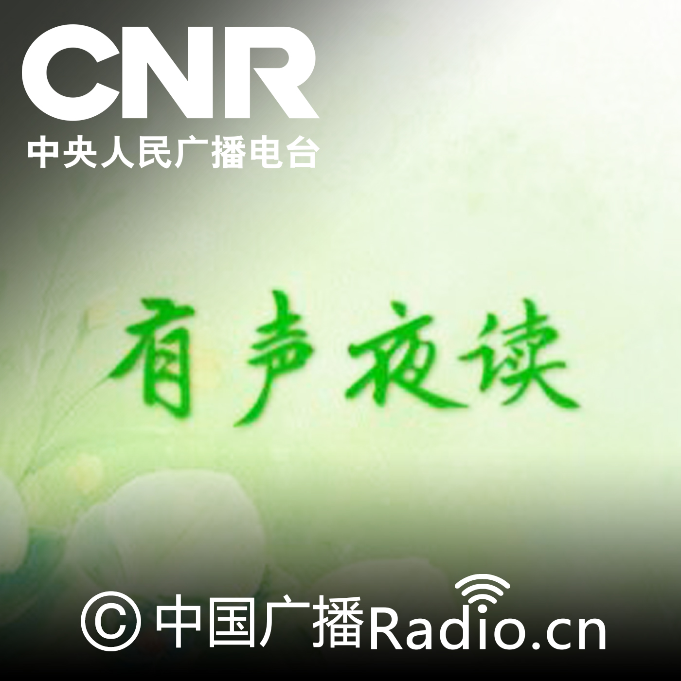 有声夜读